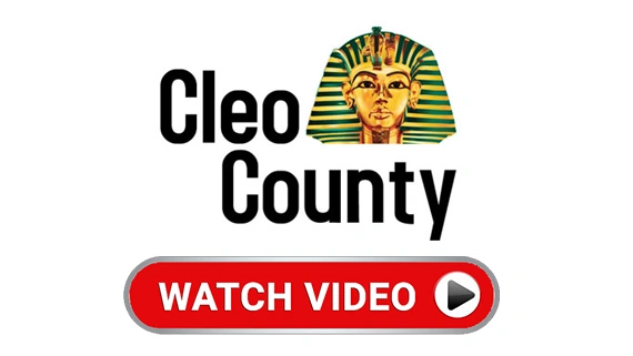 Cleo County (Testimonial) — Cohesive Technologies case study