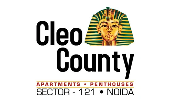 Cleo County — Cohesive Technologies case study